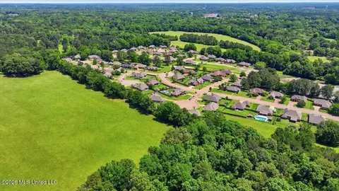 View/Area - 306 Cedar Stone Ct, Florence, MS 39073 photo 15 of 21