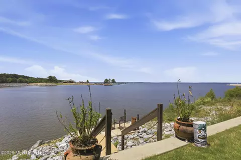 View/Area - 40 Savannah Cir, Brandon, MS 39047 photo 6 of 9