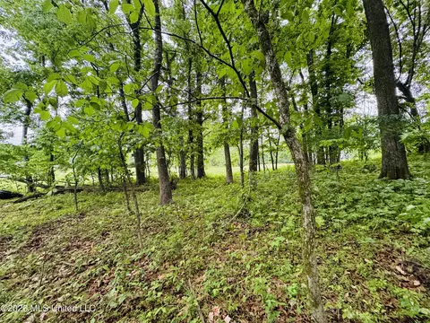 Kimber Cove, Hernando, MS 38632