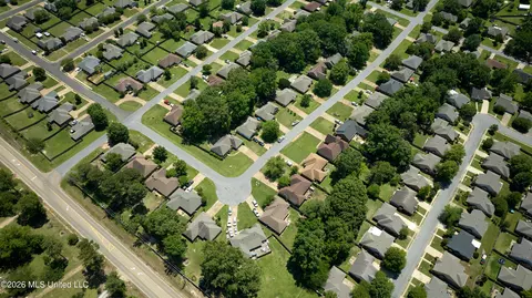 View/Area - 246 Cherry Bark Dr, Brandon, MS 39047 photo 4 of 5