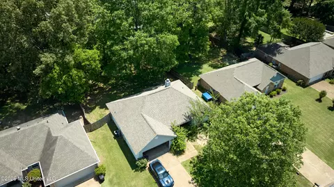 View/Area - 246 Cherry Bark Dr, Brandon, MS 39047 photo 1 of 5