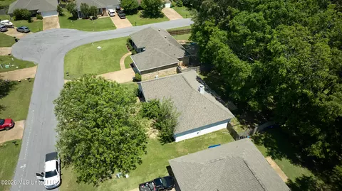 View/Area - 246 Cherry Bark Dr, Brandon, MS 39047 photo 2 of 5