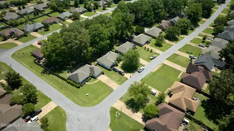 View/Area - 246 Cherry Bark Dr, Brandon, MS 39047 photo 3 of 5