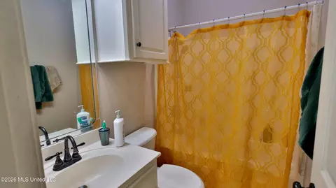 Bath - 246 Cherry Bark Dr, Brandon, MS 39047 photo 3 of 3