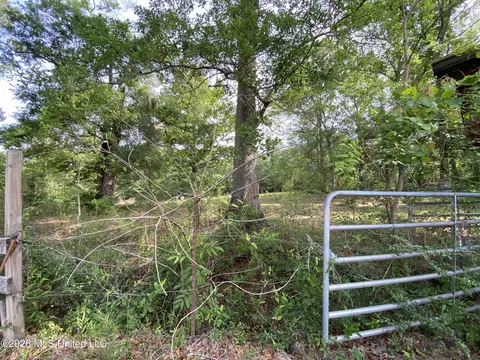 Exterior - 40 Clay Rd, Picayune, MS 39466 photo 10 of 11