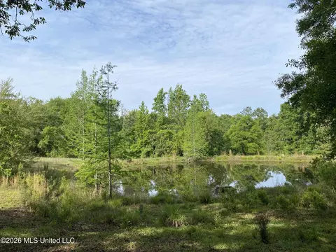 View/Area - 40 Clay Rd, Picayune, MS 39466 photo 2 of 2