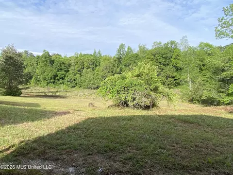 Exterior - 40 Clay Rd, Picayune, MS 39466 photo 11 of 11