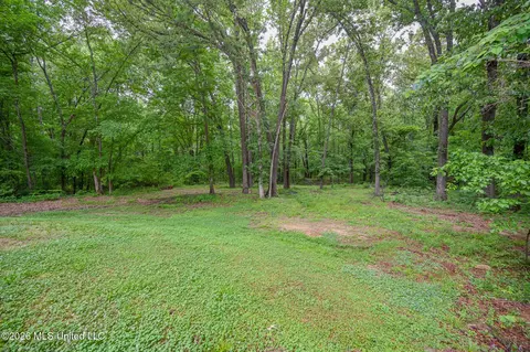 Exterior - 190 Vinson Rd, Hernando, MS 38632 photo 9 of 10