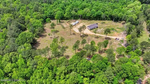 499 Old Enochs Rd, Florence, MS 39073 photo 49
