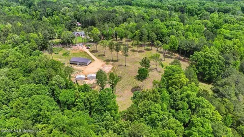 499 Old Enochs Rd, Florence, MS 39073 photo 53