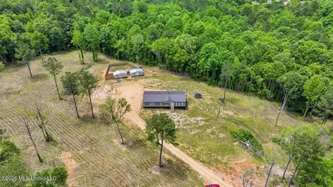 499 Old Enochs Rd, Florence, MS 39073 photo 39
