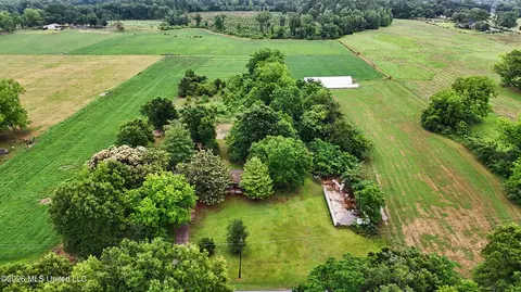 Other - 3298 Ms-613 Hwy, Lucedale, MS 39452 photo 12 of 17