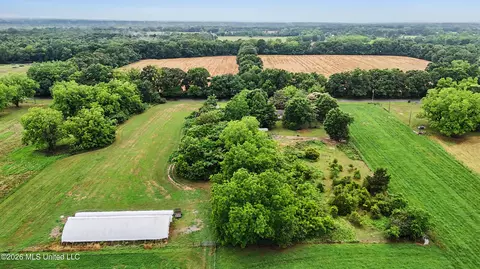 Other - 3298 Ms-613 Hwy, Lucedale, MS 39452 photo 15 of 17