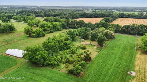 Other - 3298 Ms-613 Hwy, Lucedale, MS 39452 photo 16 of 17