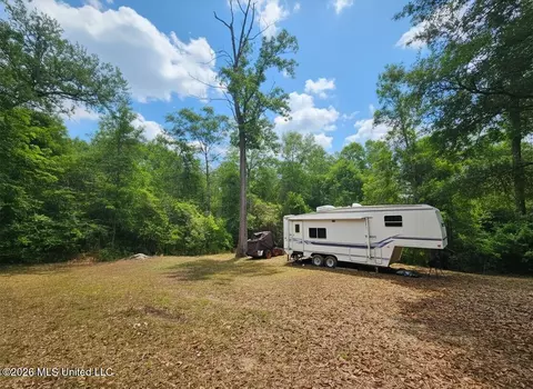 222 Lavelle Odom Rd, Poplarville, MS 39470