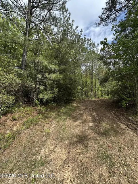 1873 F E Sellers Hwy, Monticello, MS 39654