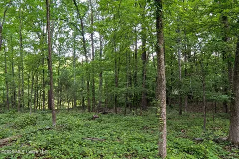 Exterior - 528 Arkabutla Dam Rd, Coldwater, MS 38618 photo 23 of 29