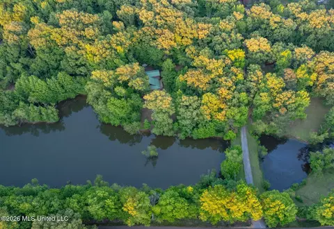 View/Area - 528 Arkabutla Dam Rd, Coldwater, MS 38618 photo 9 of 10