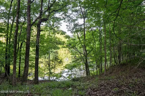 View/Area - 528 Arkabutla Dam Rd, Coldwater, MS 38618 photo 5 of 10