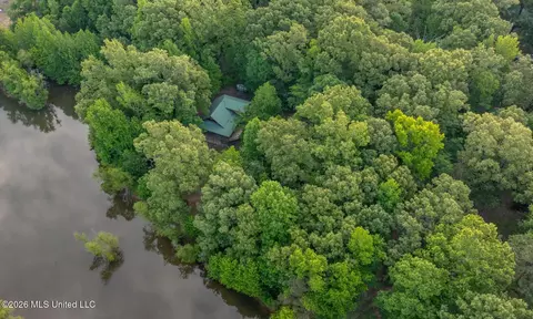 View/Area - 528 Arkabutla Dam Rd, Coldwater, MS 38618 photo 7 of 10