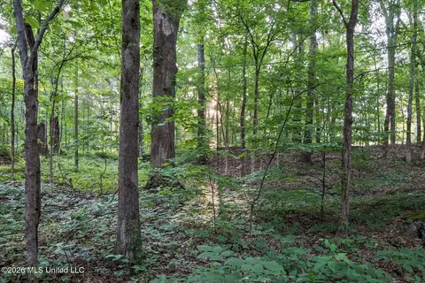Exterior - 528 Arkabutla Dam Rd, Coldwater, MS 38618 photo 24 of 29