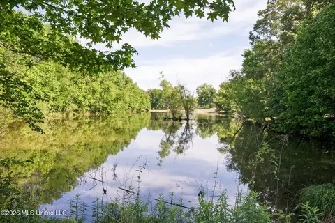 View/Area - 528 Arkabutla Dam Rd, Coldwater, MS 38618 photo 2 of 10