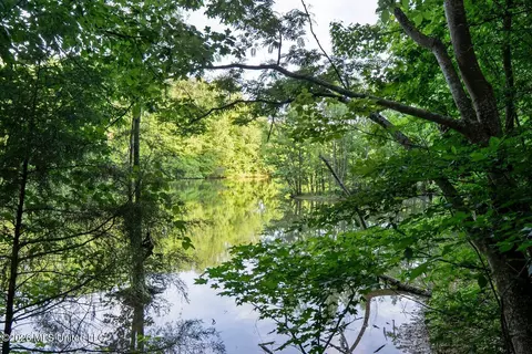 View/Area - 528 Arkabutla Dam Rd, Coldwater, MS 38618 photo 6 of 10