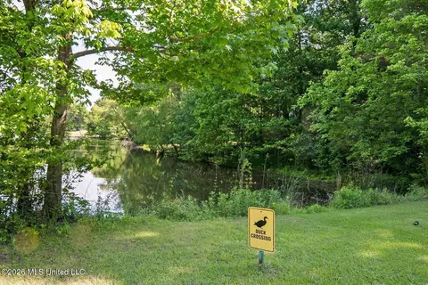 Other - 528 Arkabutla Dam Rd, Coldwater, MS 38618 photo 25 of 32