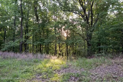 Other - 528 Arkabutla Dam Rd, Coldwater, MS 38618 photo 27 of 32