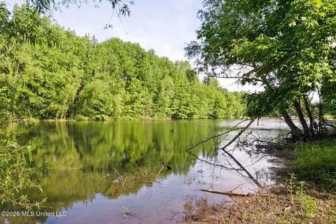 View/Area - 528 Arkabutla Dam Rd, Coldwater, MS 38618 photo 3 of 10