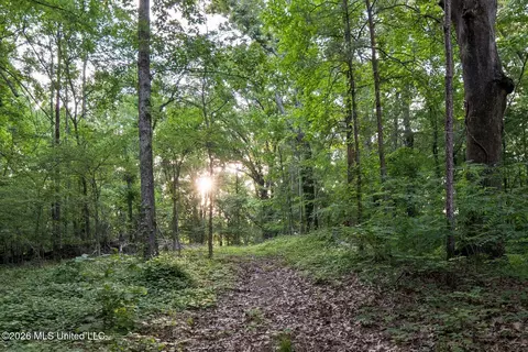 Other - 528 Arkabutla Dam Rd, Coldwater, MS 38618 photo 26 of 32