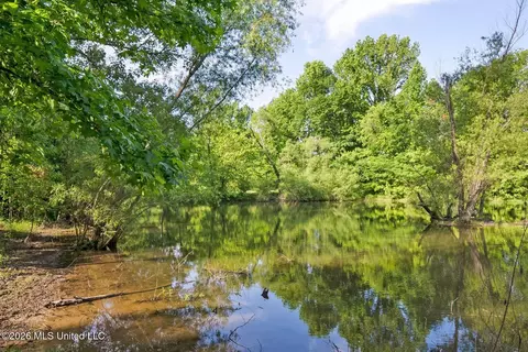View/Area - 528 Arkabutla Dam Rd, Coldwater, MS 38618 photo 1 of 10