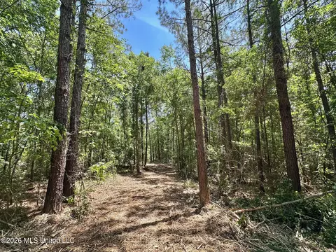 2 Mcnair Springs Rd, Magee, MS 39111