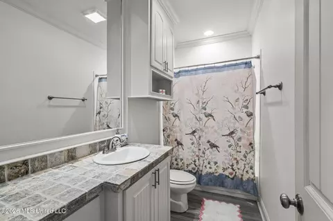 Bath - 132 Claiborne St, Madison, MS 39110 photo 3 of 4