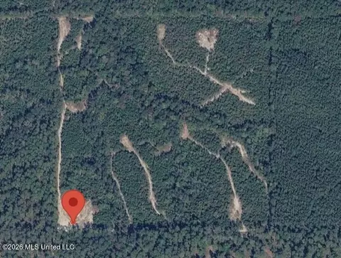 40 Acres Forestry Road 356, Beaumont, MS 39423