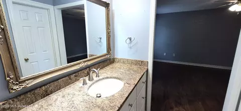 Bath - 1102 Martin Dr, Brandon, MS 39047 photo 1 of 4
