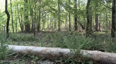 Bell Bottom Road, Redwood, MS 39156