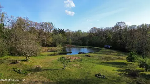 View/Area - 3581 Countyline Tate Rd, Coldwater, MS 38618 photo 5 of 5