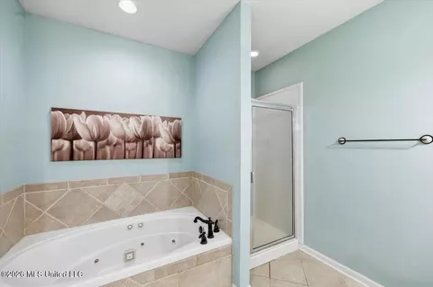 Bath - 140 Spindlewood Dr, Madison, MS 39110 photo 2 of 6