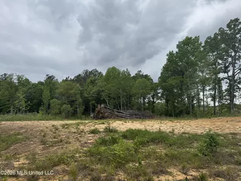 NE Allred Road, Eupora, MS 39744 photo 3