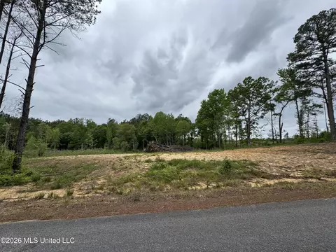 NE Allred Road, Eupora, MS 39744