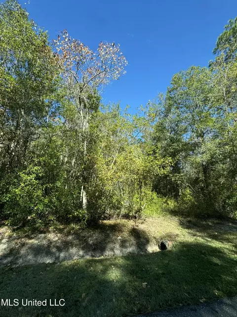 Indian Street, Bay Saint Louis, MS 39520