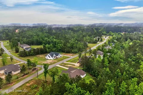 View/Area - 49 Whistlestop, Sumrall, MS 39482 photo 3 of 5