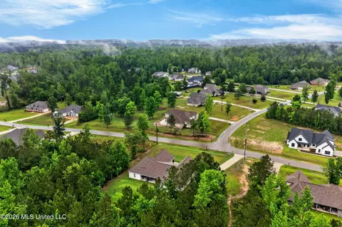 View/Area - 49 Whistlestop, Sumrall, MS 39482 photo 4 of 5