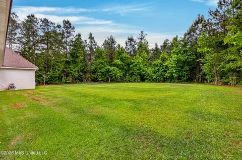 Exterior - 49 Whistlestop, Sumrall, MS 39482 photo 10 of 14