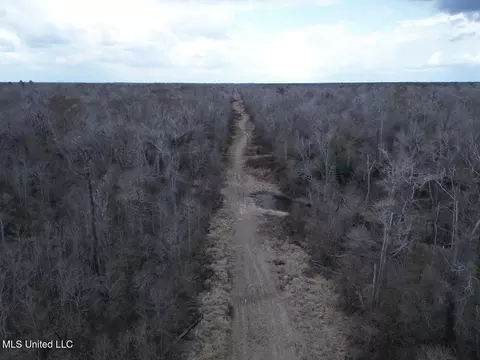 2600 Martin Tram Rd, Reeves, LA 70658