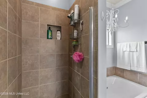 Bath - 137 Creekside Dr, Canton, MS 39046 photo 4 of 5