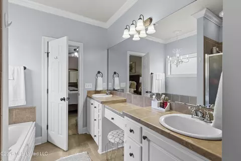 Bath - 137 Creekside Dr, Canton, MS 39046 photo 2 of 5