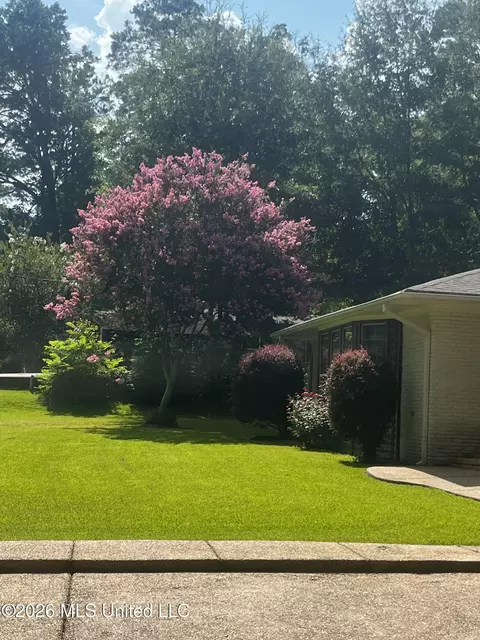 Exterior - 503 E Government St, Brandon, MS 39042 photo 10 of 12