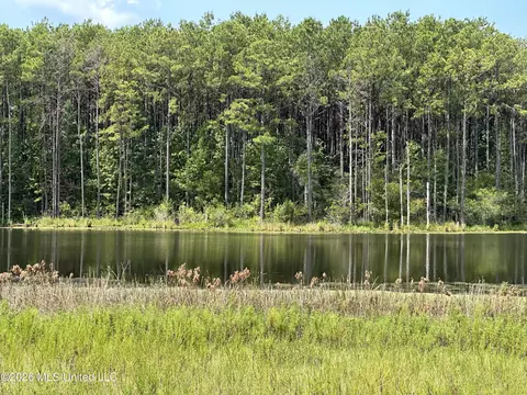 186 W New Arbor Rd, Poplarville, MS 39470